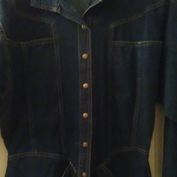 Denim Button-Up Dress - Picture 2 of 9